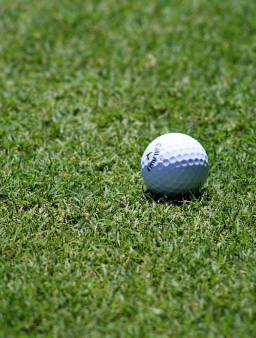 pallina da golf
