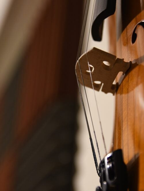 dettaglio di un violino