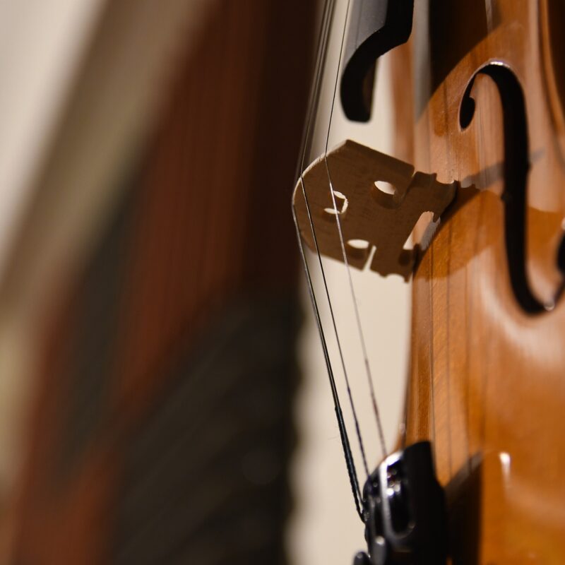 dettaglio di un violino